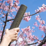 らいさぽセンター本校 ｜引きこもり、不登校、ニートの就労支援、自立支援 | 不登校でも高校卒業できる！通信制高校・高卒認定・支援サービスを活用する方法